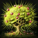 bountyfocus#777 icon