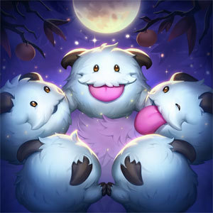 6두콩#KR1 icon